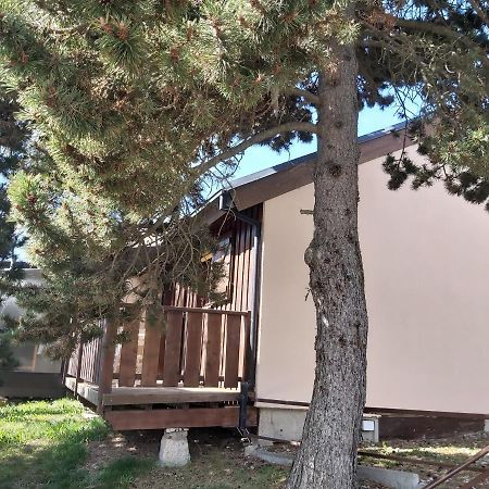 Chalet De L Ours Bolquere Pyrenees 2000 エクステリア 写真
